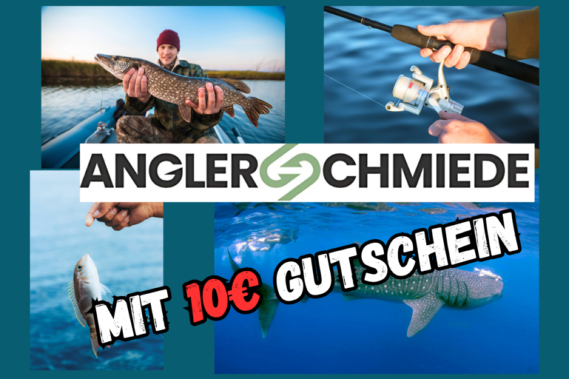 Mehr über den Artikel erfahren Fischereischein online – Geht das?