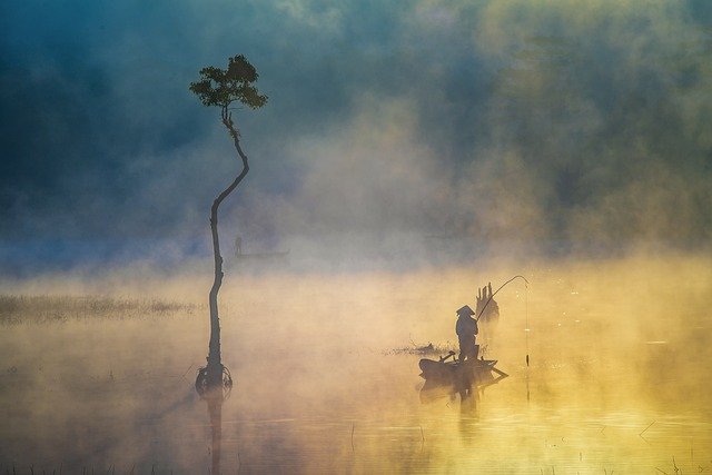 Bild von Trần Anh auf Pixabay