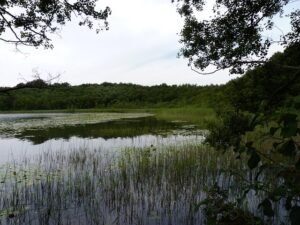Mecklenburgische Seenplatte