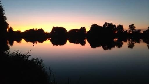 Schleien angeln am Abend