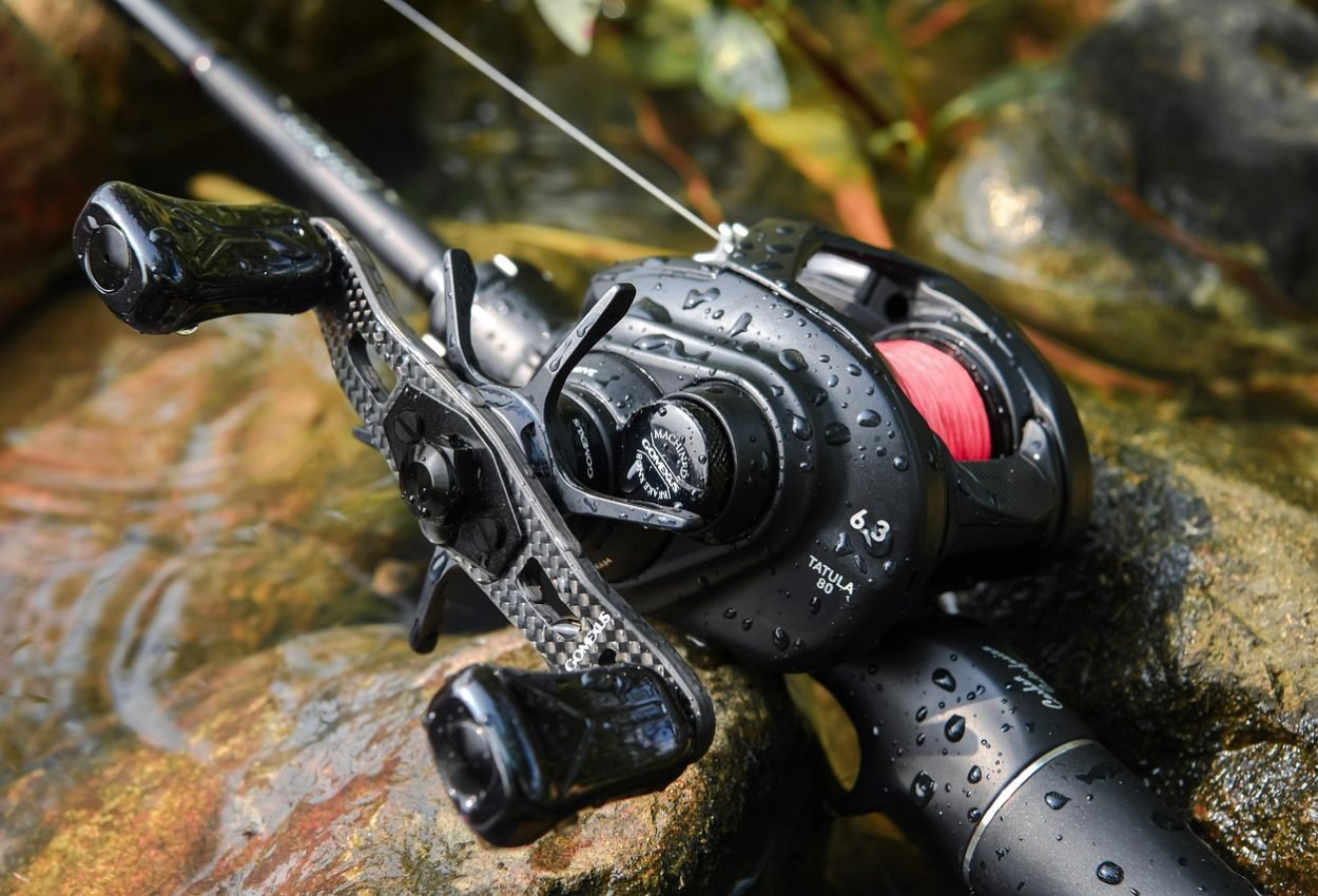 Bild von Gomexus-Tackle auf Pixabay