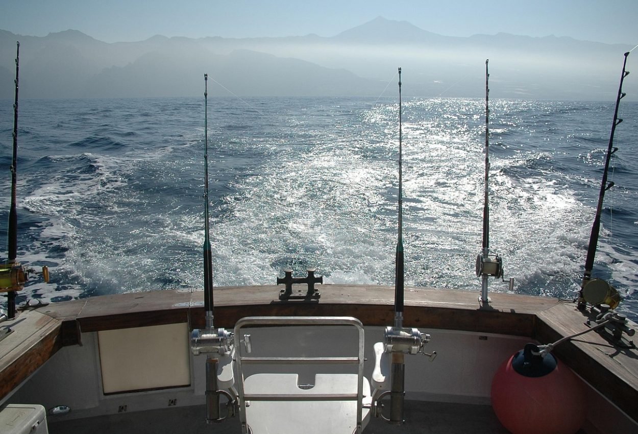 Bild von Ola_Qc auf Pixabay